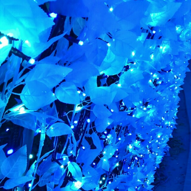 f:id:tubominote:20151105202053j:image f:id:tubominote:20151105202053j:image