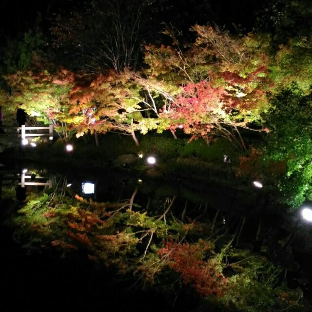 f:id:tubominote:20151105202104j:image f:id:tubominote:20151105202104j:image