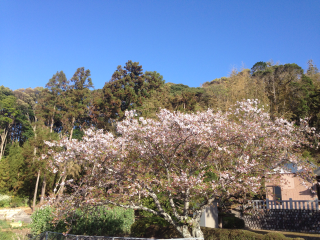f:id:tuitel:20130408074309j:plain f:id:tuitel:20130408074309j:plain