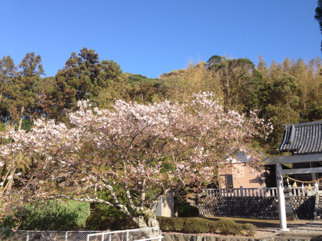 f:id:tuitel:20130408074311j:plain f:id:tuitel:20130408074311j:plain