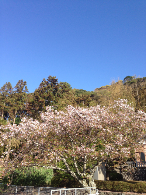 f:id:tuitel:20130408074323j:plain f:id:tuitel:20130408074323j:plain