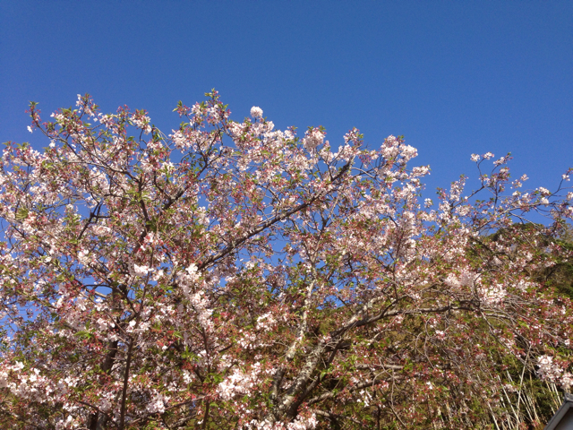 f:id:tuitel:20130408074347j:plain f:id:tuitel:20130408074347j:plain