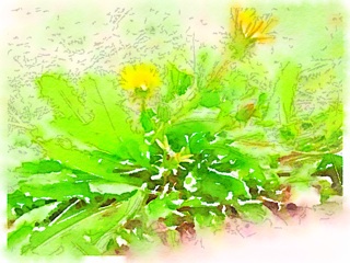 f:id:tuitel:20140917115621j:plain f:id:tuitel:20140917115621j:plain