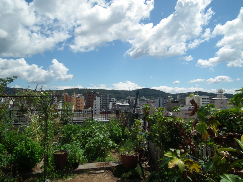 f:id:tukaisutejidai:20130827161810j:plain f:id:tukaisutejidai:20130827161810j:plain