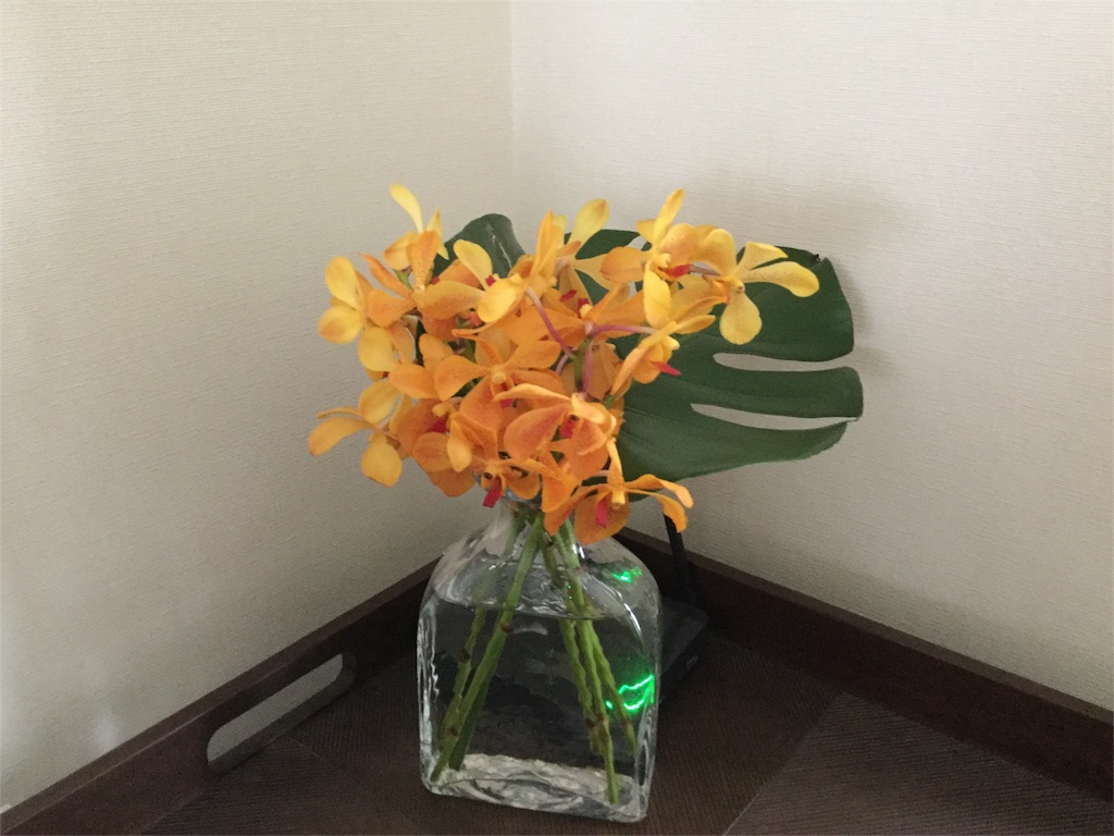 f:id:tw101:20160503201320j:image f:id:tw101:20160503201320j:image