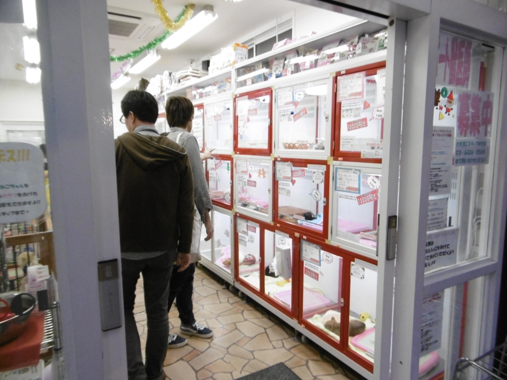 f:id:tyatya123:20151121163042j:plain