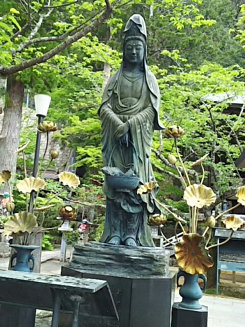 f:id:tyodag:20160507145713j:image f:id:tyodag:20160507145713j:image
