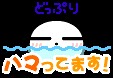 f:id:tyodag:20160514092930j:image f:id:tyodag:20160514092930j:image