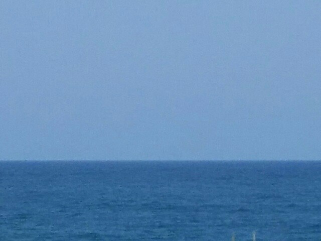 f:id:tyodag:20160520131637j:image f:id:tyodag:20160520131637j:image