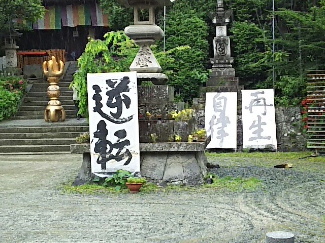 f:id:tyodag:20160606003102j:image f:id:tyodag:20160606003102j:image
