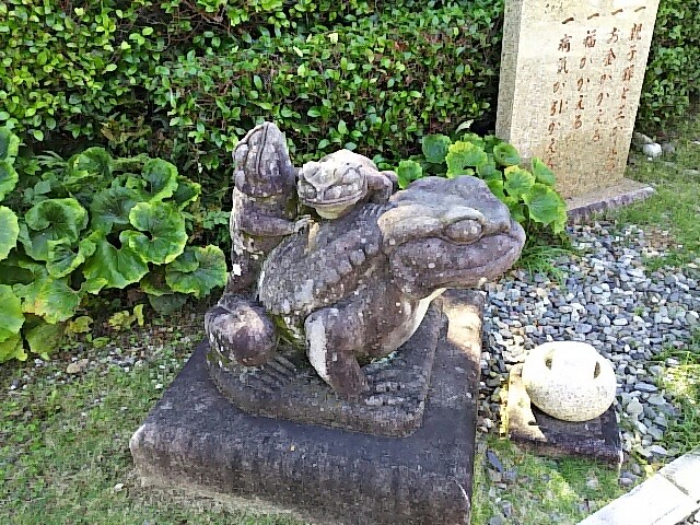 f:id:tyodag:20160606004736j:image f:id:tyodag:20160606004736j:image