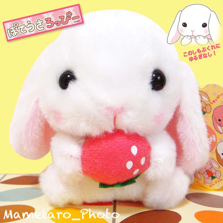 f:id:u56motikaico:20131111111853j:plain f:id:u56motikaico:20131111111853j:plain