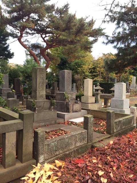 f:id:udemerry:20131128140924j:plain