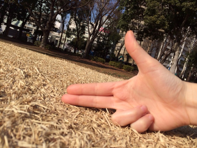 f:id:udemerry:20140121130659j:plain f:id:udemerry:20140121130659j:plain