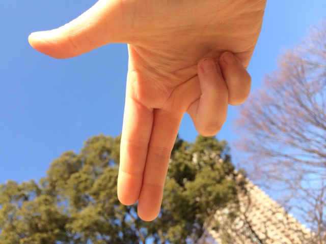 f:id:udemerry:20140121130746j:plain f:id:udemerry:20140121130746j:plain