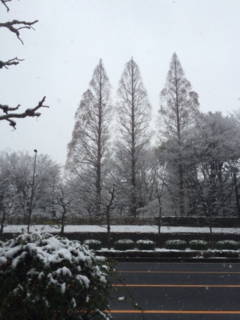 f:id:udemerry:20140214124651j:plain f:id:udemerry:20140214124651j:plain