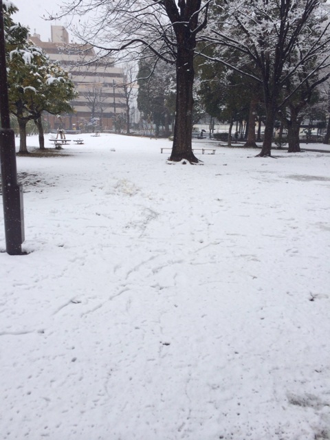 f:id:udemerry:20140214131143j:plain f:id:udemerry:20140214131143j:plain