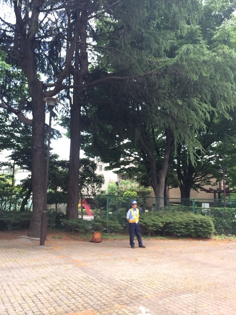 f:id:udemerry:20140529135015j:plain f:id:udemerry:20140529135015j:plain