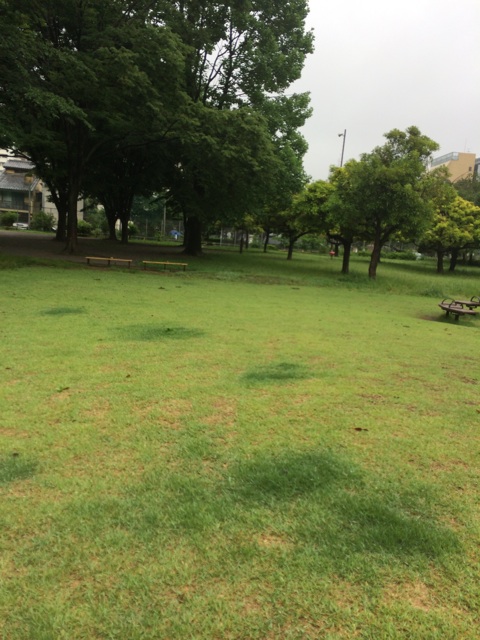 f:id:udemerry:20140612125852j:plain f:id:udemerry:20140612125852j:plain