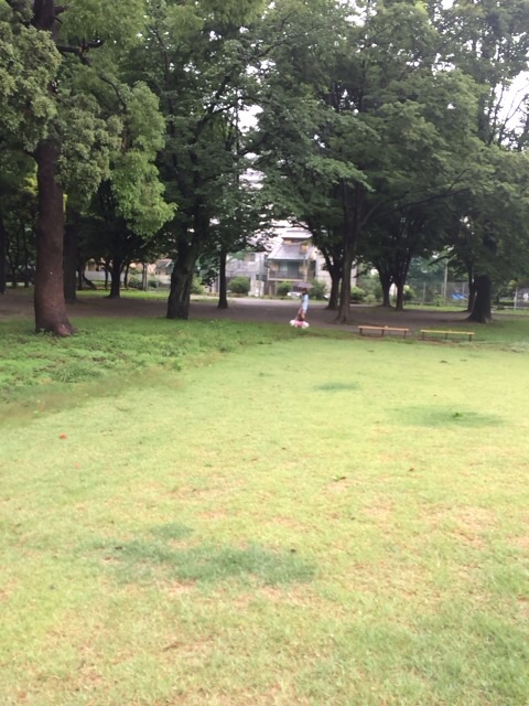 f:id:udemerry:20140612125925j:plain f:id:udemerry:20140612125925j:plain