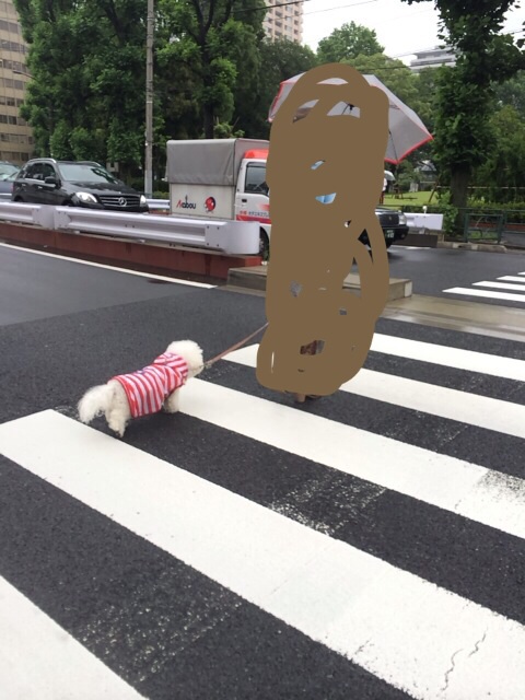 f:id:udemerry:20140612165432j:plain f:id:udemerry:20140612165432j:plain