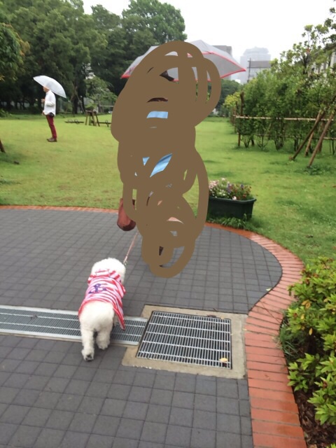 f:id:udemerry:20140612165507j:plain f:id:udemerry:20140612165507j:plain