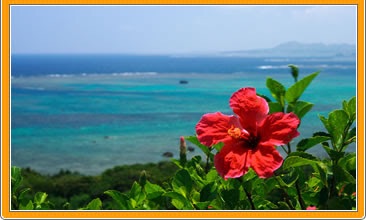 f:id:udemerry:20150220133230j:plain