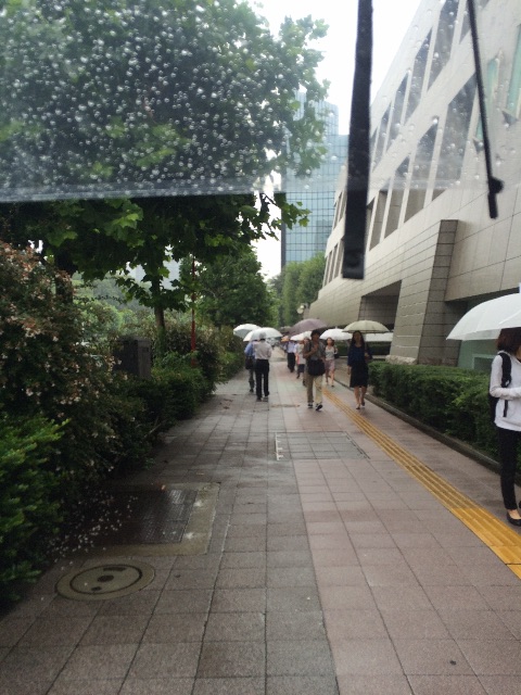 f:id:udemerry:20150701120821j:image f:id:udemerry:20150701120821j:image