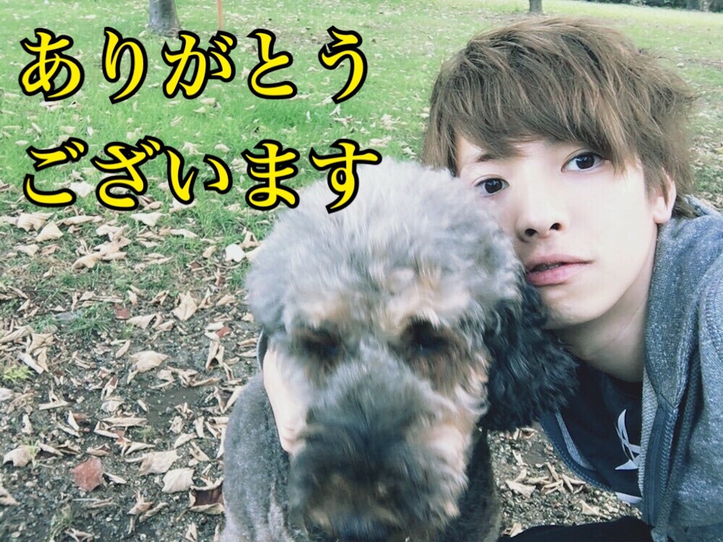 f:id:udemerry:20151117200210j:image f:id:udemerry:20151117200210j:image