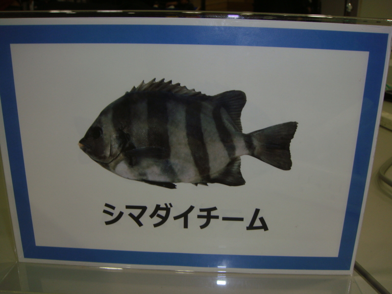 f:id:uenoshin:20141223200719j:plain f:id:uenoshin:20141223200719j:plain