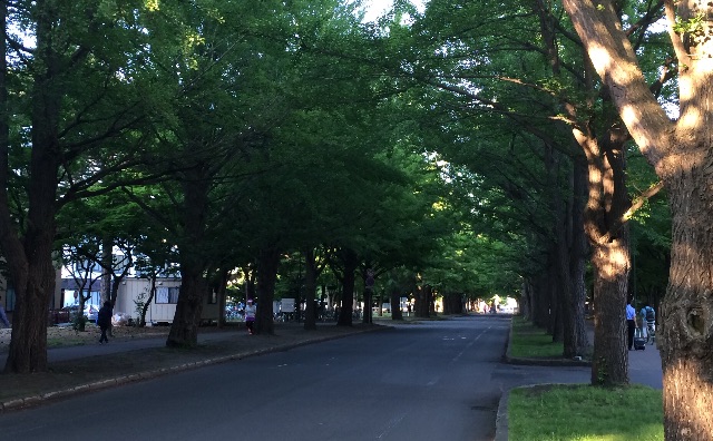 f:id:uesugi_rintaro:20150710061121j:image f:id:uesugi_rintaro:20150710061121j:image
