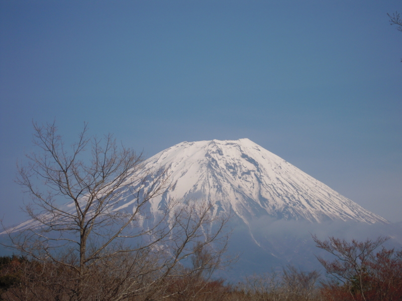 f:id:ufo_papa:20110417152651j:image f:id:ufo_papa:20110417152651j:image