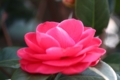 f:id:ufo_papa:20130317223509j:image:medium f:id:ufo_papa:20130317223509j:image:medium