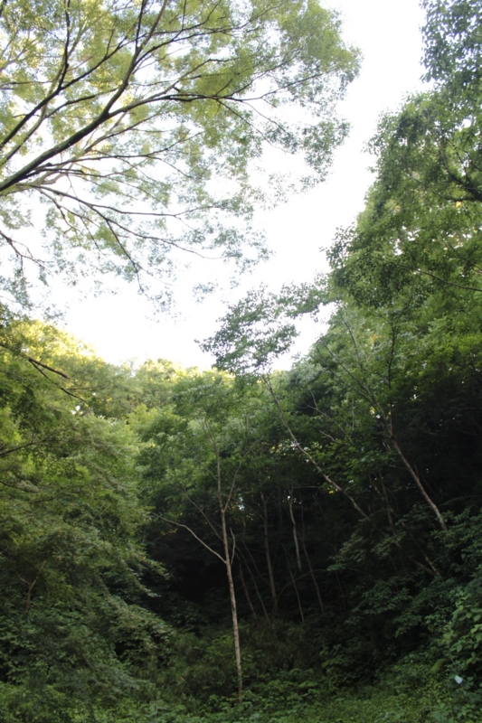 f:id:ufo_papa:20130616232057j:image:w360 f:id:ufo_papa:20130616232057j:image:w360