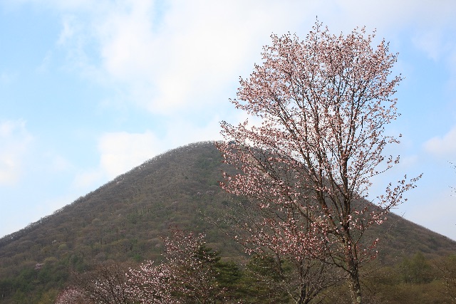 f:id:ufo_papa:20150501005348j:image f:id:ufo_papa:20150501005348j:image
