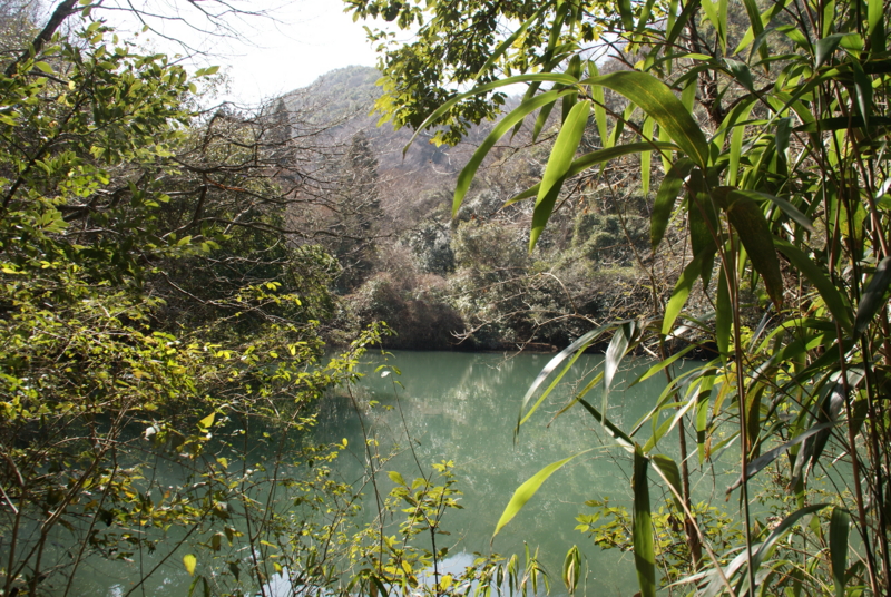 f:id:ugokumemotyo118:20130228110837j:image f:id:ugokumemotyo118:20130228110837j:image