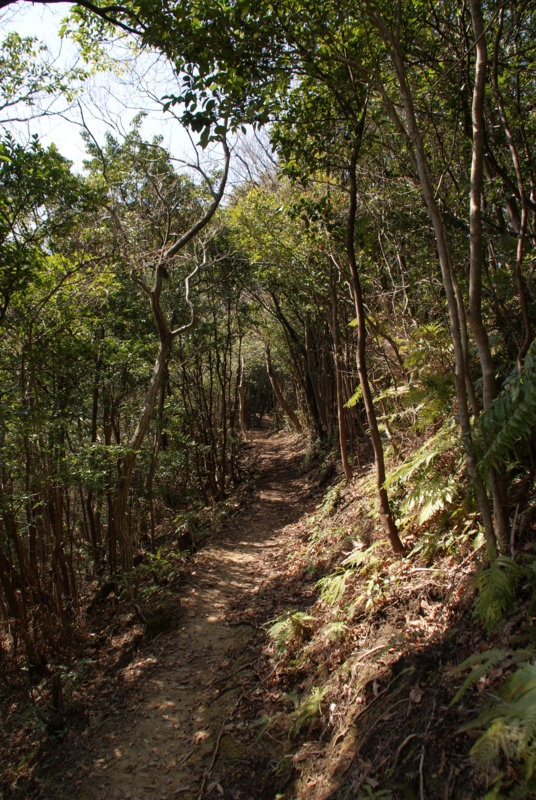 f:id:ugokumemotyo118:20130228211815j:image f:id:ugokumemotyo118:20130228211815j:image