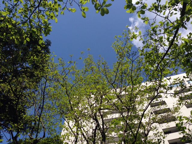 f:id:uguisu79:20140406220607j:plain f:id:uguisu79:20140406220607j:plain
