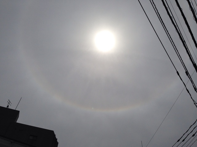 f:id:uguisu79:20140407130852j:plain f:id:uguisu79:20140407130852j:plain