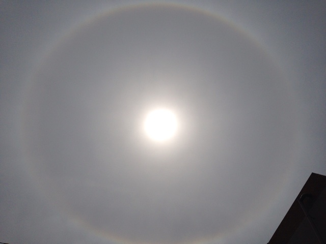 f:id:uguisu79:20140407131217j:plain f:id:uguisu79:20140407131217j:plain