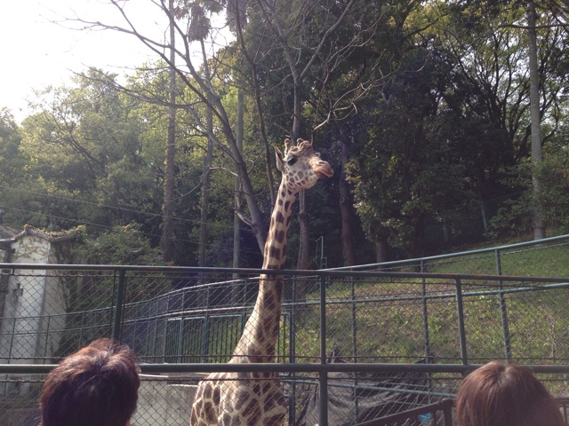f:id:uguisu79:20140411102343j:plain f:id:uguisu79:20140411102343j:plain