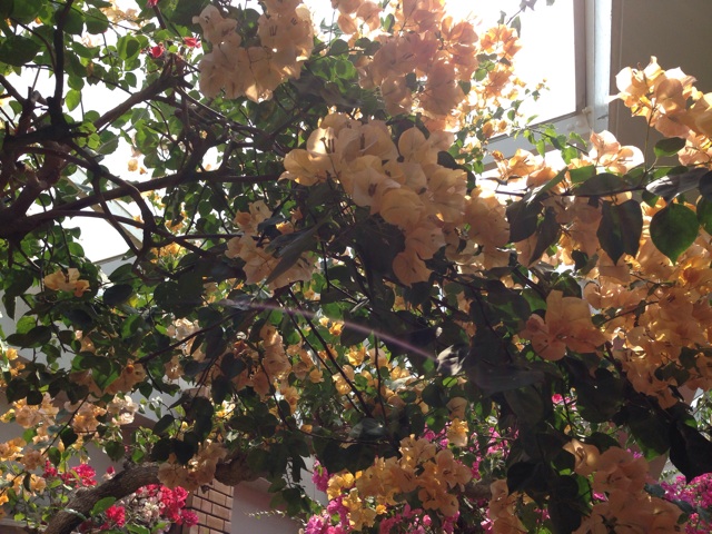 f:id:uguisu79:20140413121856j:plain f:id:uguisu79:20140413121856j:plain
