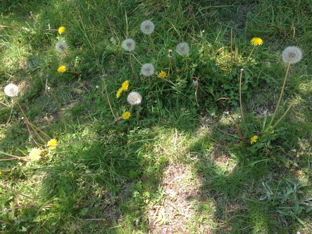 f:id:uguisu79:20140414183432j:plain f:id:uguisu79:20140414183432j:plain