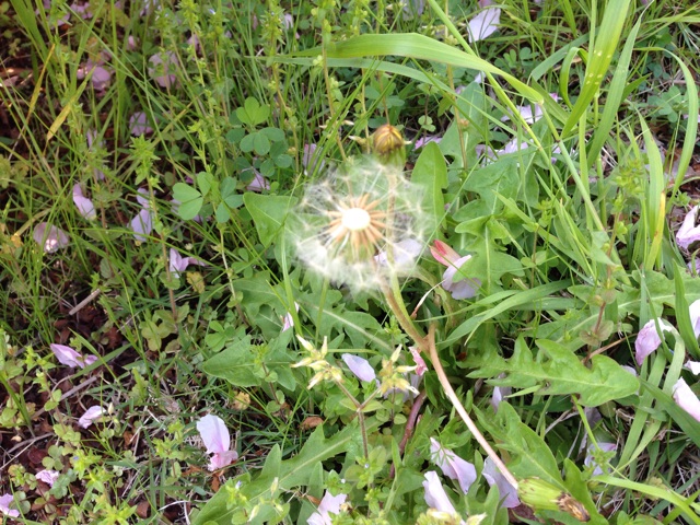 f:id:uguisu79:20140414191510j:plain f:id:uguisu79:20140414191510j:plain