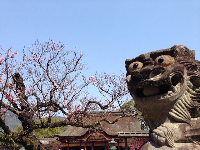 f:id:uguisu79:20140420231738j:plain f:id:uguisu79:20140420231738j:plain