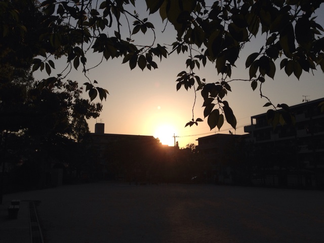 f:id:uguisu79:20140425164258j:plain f:id:uguisu79:20140425164258j:plain