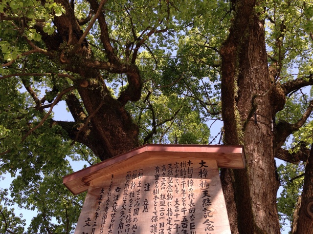 f:id:uguisu79:20140425171715j:plain f:id:uguisu79:20140425171715j:plain