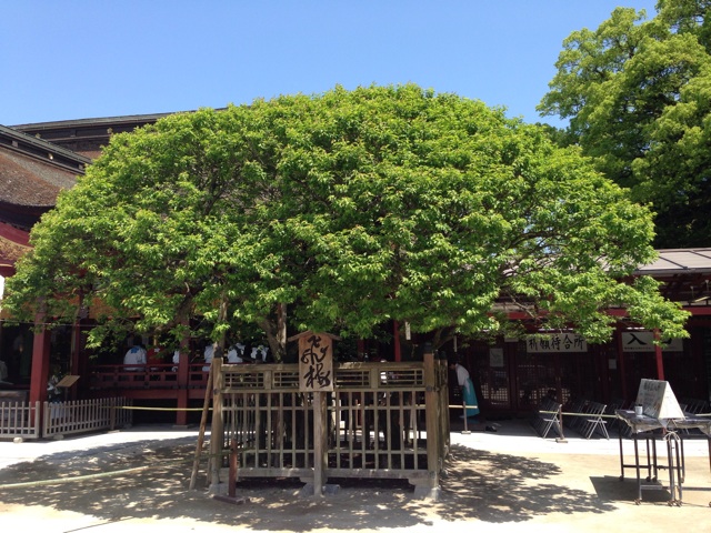 f:id:uguisu79:20140427223517j:plain f:id:uguisu79:20140427223517j:plain