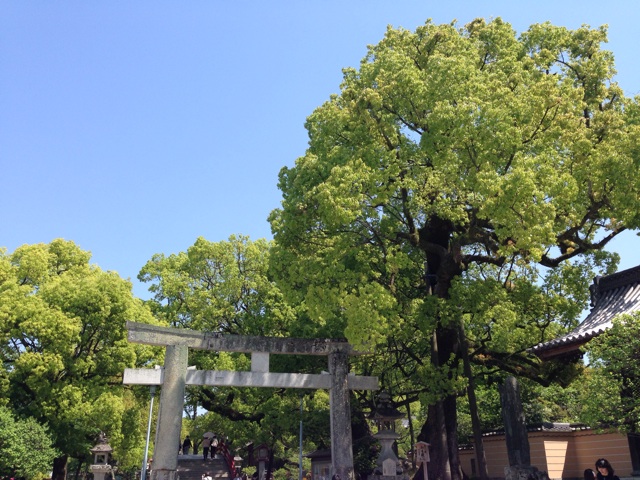f:id:uguisu79:20140429185532j:plain f:id:uguisu79:20140429185532j:plain