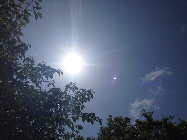f:id:uguisu79:20140504205923j:plain f:id:uguisu79:20140504205923j:plain